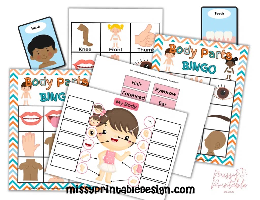 Parts of the Body Free Printables