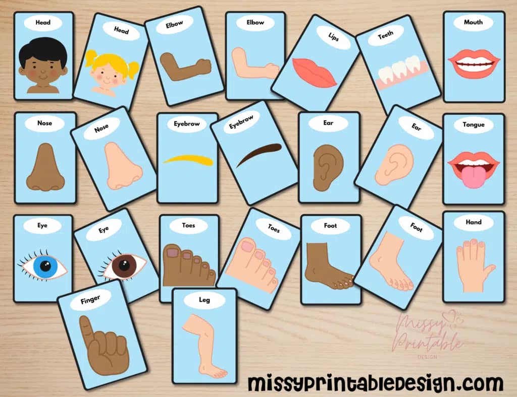 Parts of the Body Flashcards