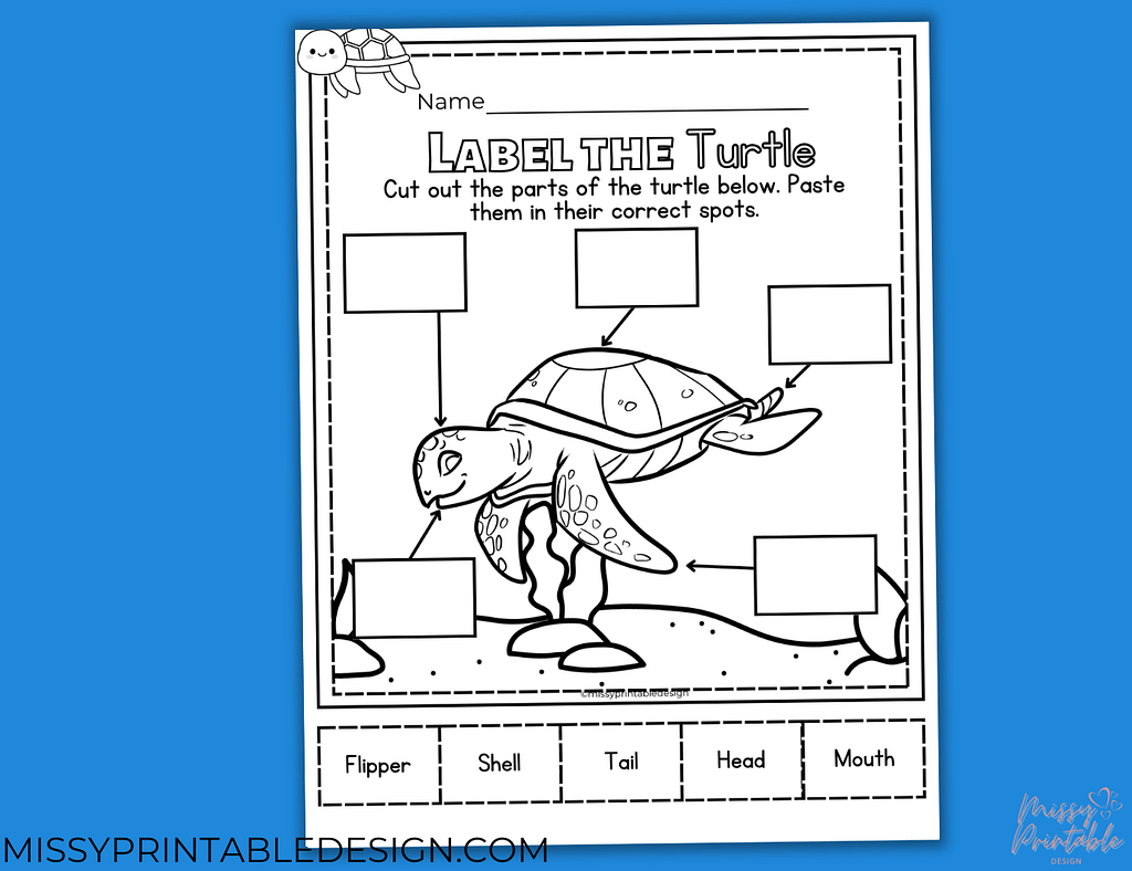 Label the Turtle Worksheet