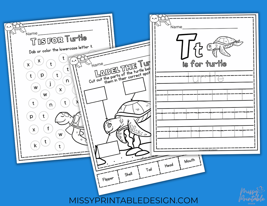 Printable Sea Turtle Worksheets